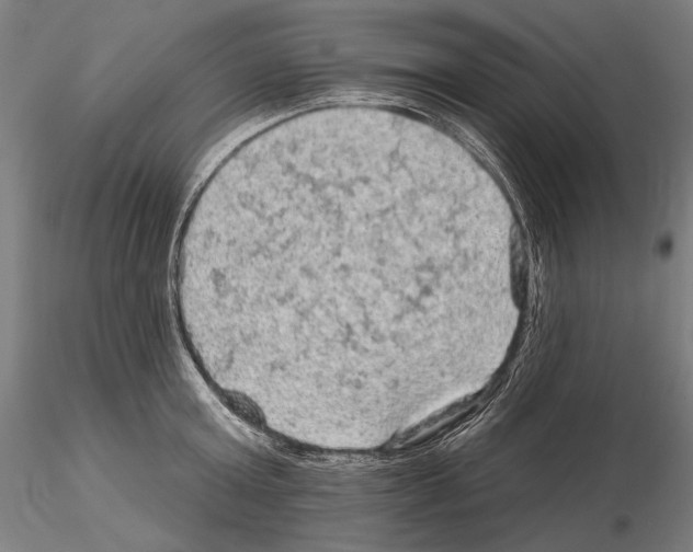 X0000114650803200912011111