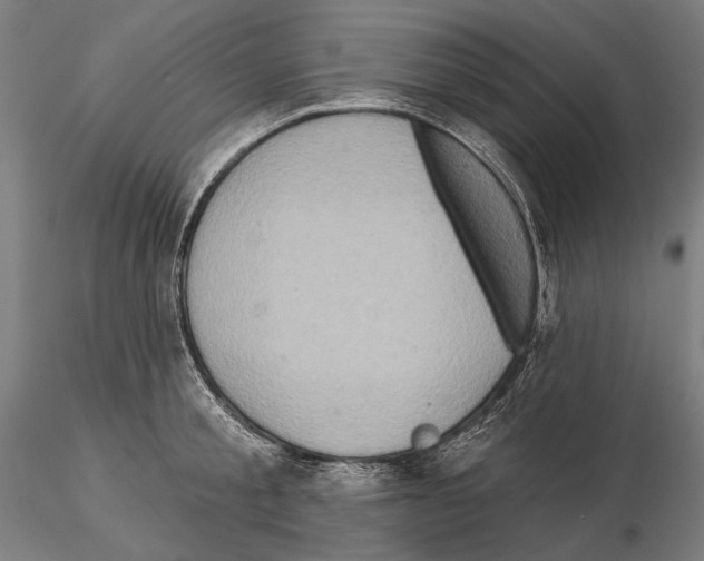 X0000114650805200912011111