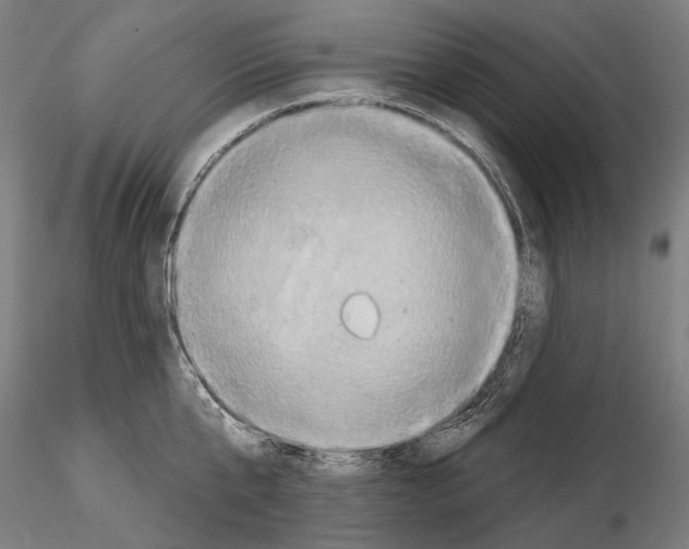 X0000114650807200912011111