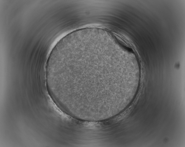 X0000114650808200912011111