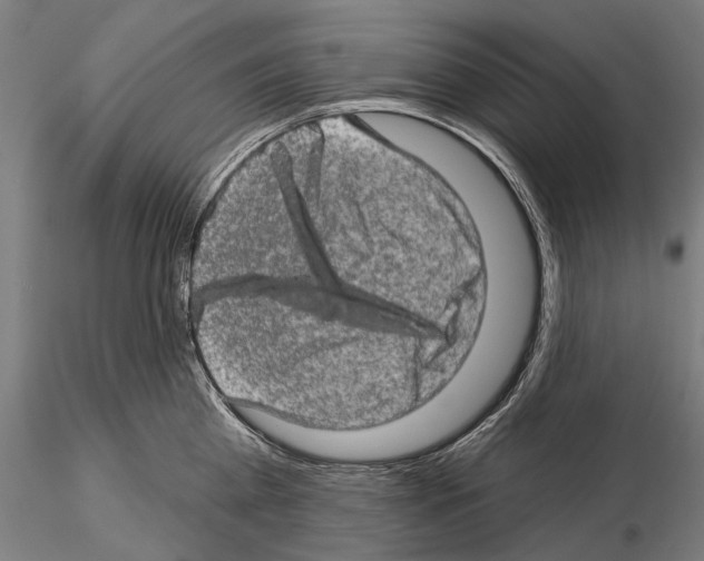 X0000114650809200912011111