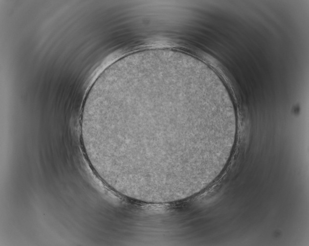 X0000114650810200912011111