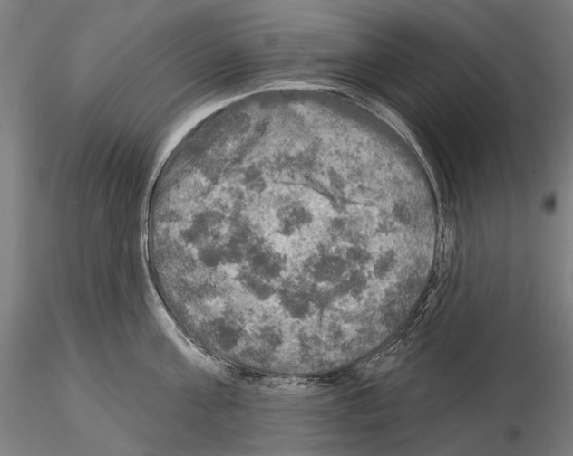 X0000114650811200912011111