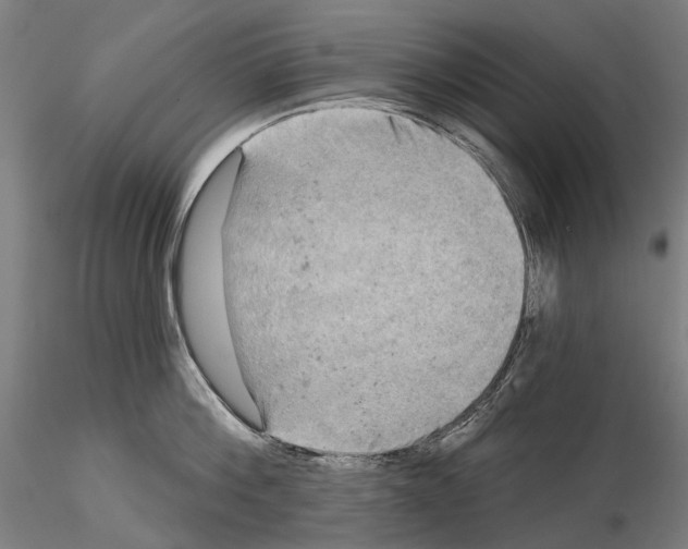 X0000114650812200912011111