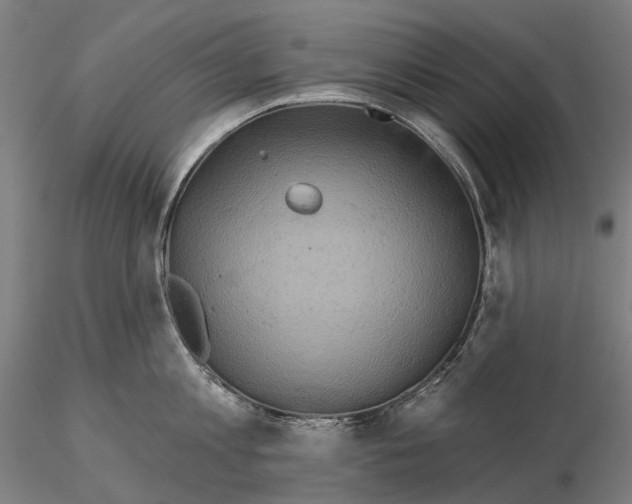 X0000114650813200912011111