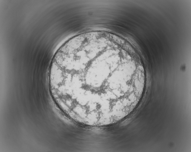 X0000114650814200912011111