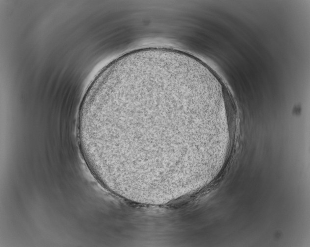 X0000114650815200912011111