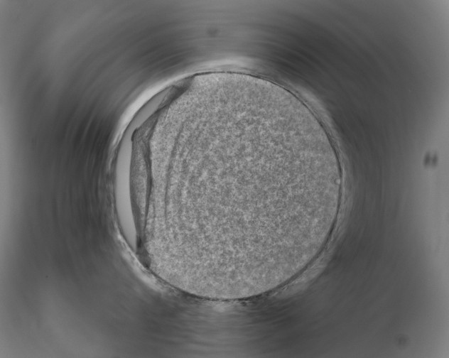 X0000114650816200912011111