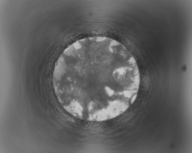 X0000114650817200912011110