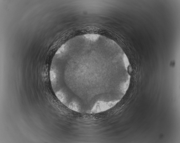 X0000114650818200912011110