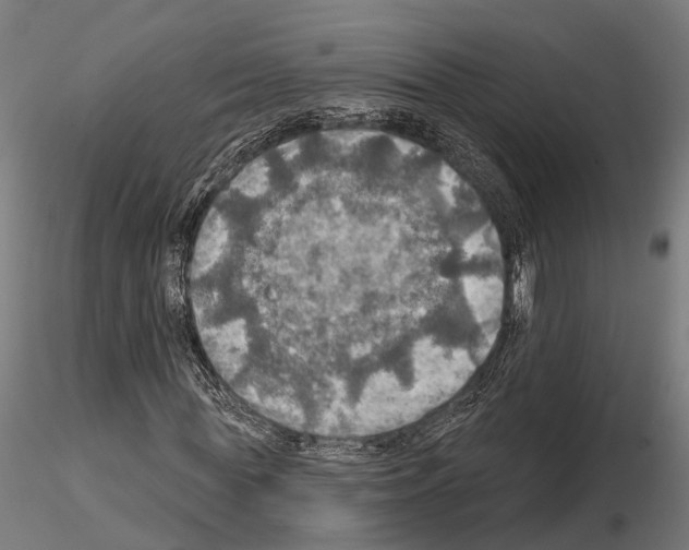 X0000114650819200912011110