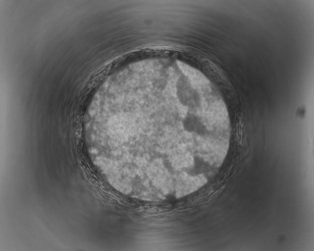 X0000114650821200912011110