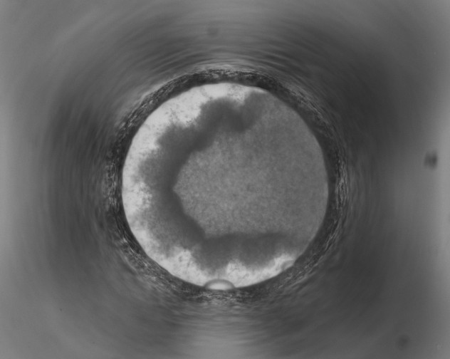 X0000114650822200912011110