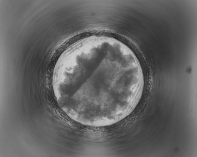 X0000114650823200912011110