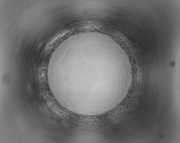 X0000114650824200912011110