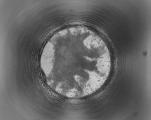 X0000114650825200912011110