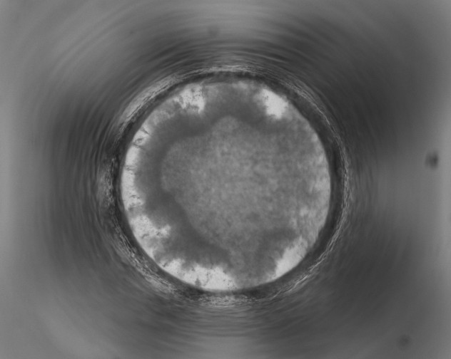 X0000114650826200912011110