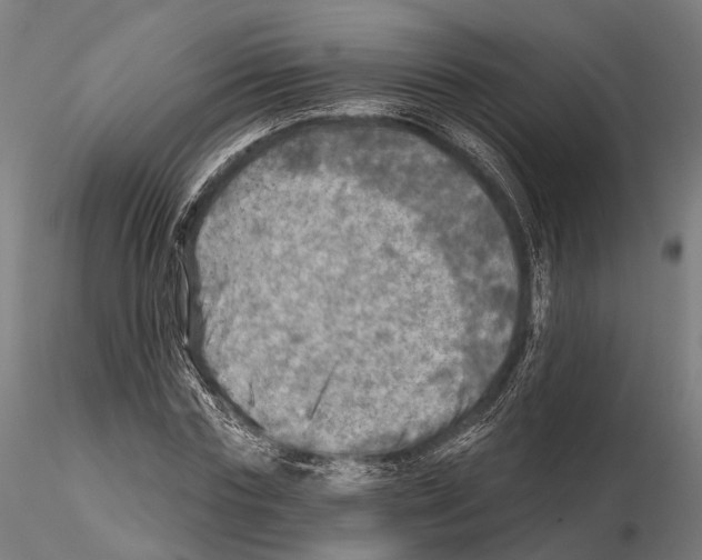 X0000114650827200912011110