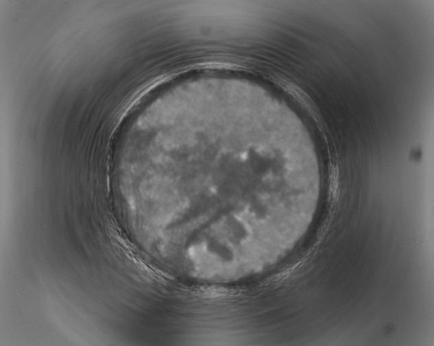 X0000114650829200912011110