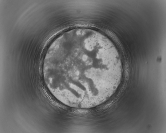 X0000114650831200912011110