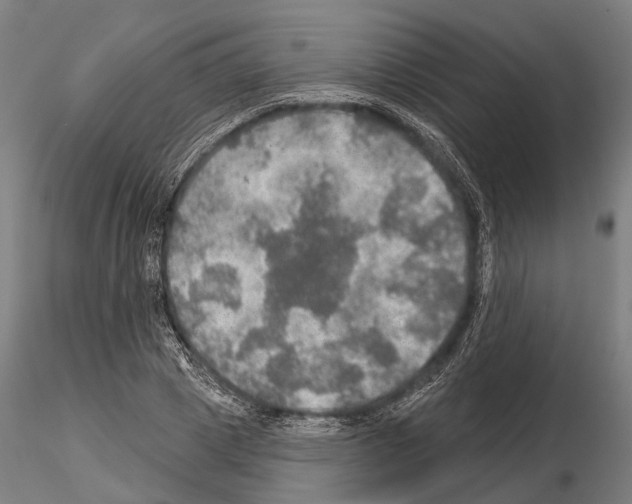 X0000114650833200912011110