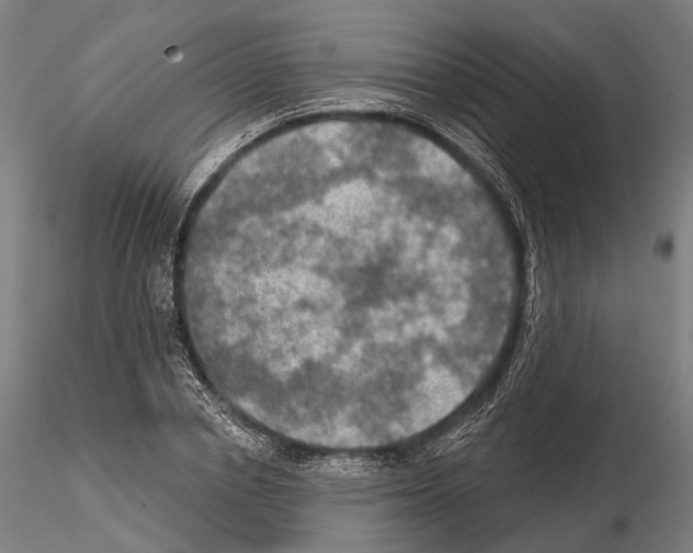 X0000114650834200912011110