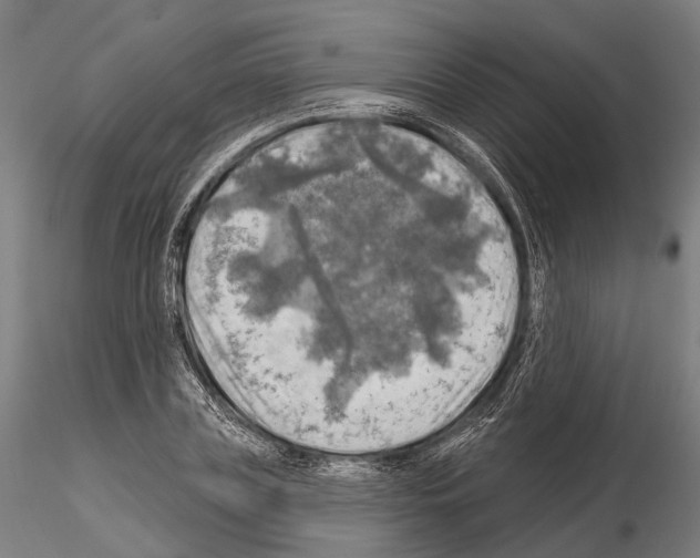 X0000114650835200912011110