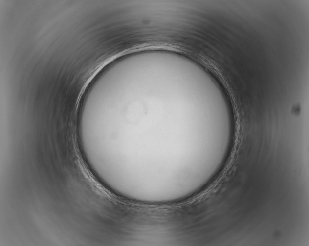 X0000114650836200912011110