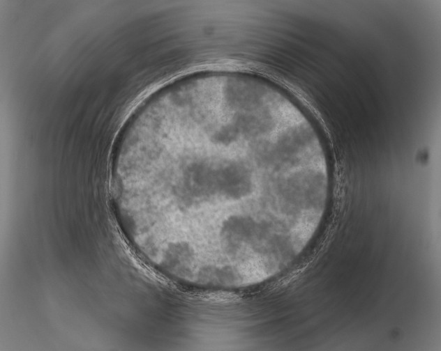 X0000114650837200912011110