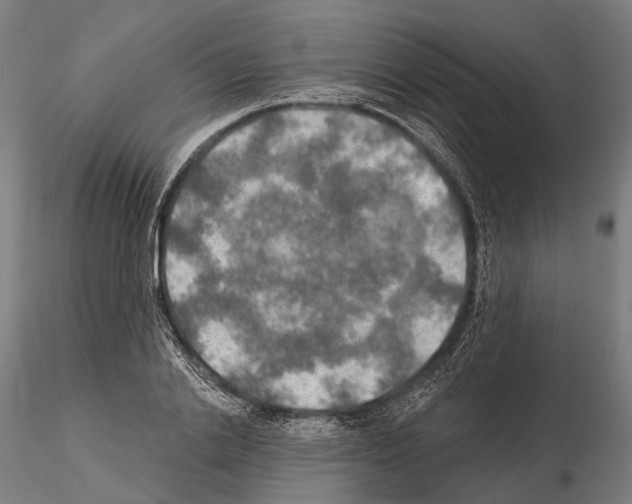 X0000114650838200912011110