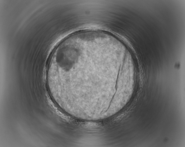 X0000114650839200912011110