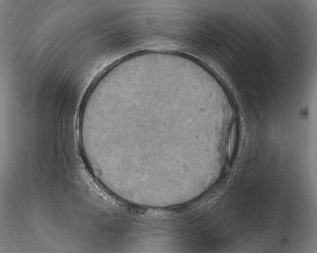 X0000114650840200912011110