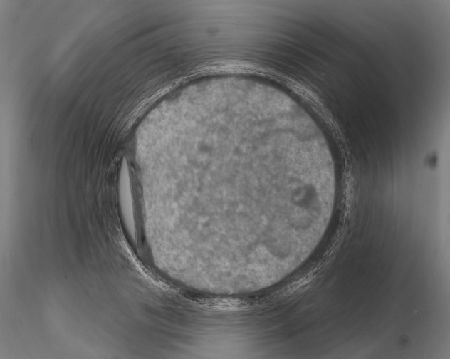 X0000114650841200912011110