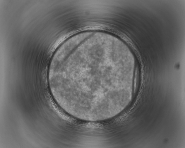 X0000114650842200912011110