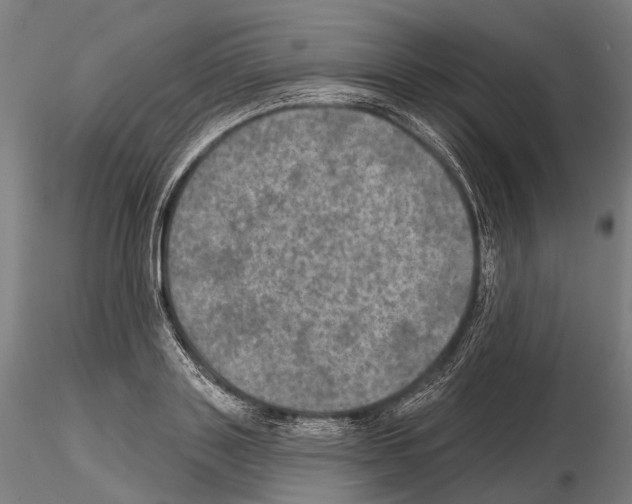 X0000114650843200912011110