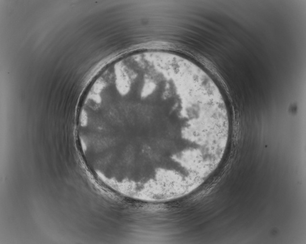 X0000114650845200912011110