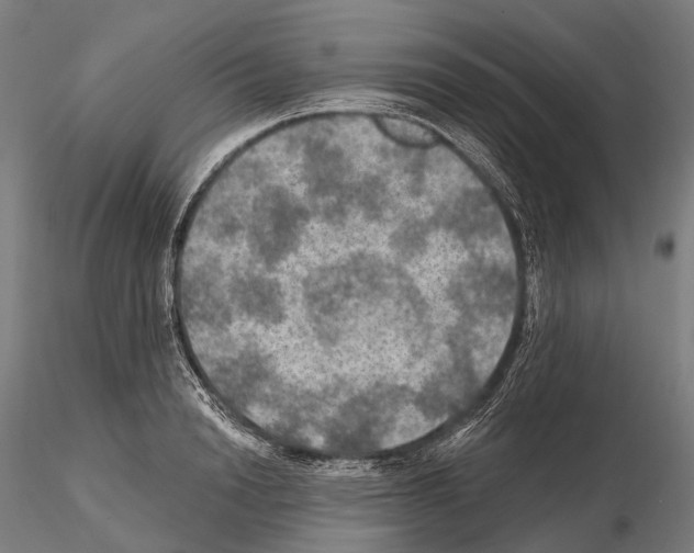 X0000114650846200912011110