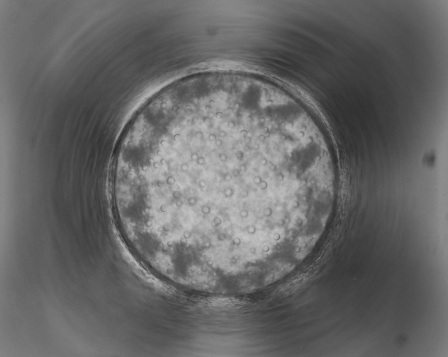 X0000114650847200912011111