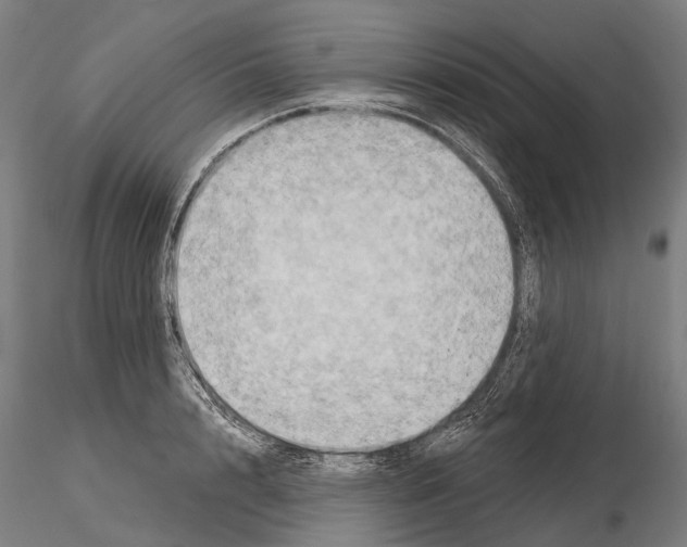 X0000114650848200912011111