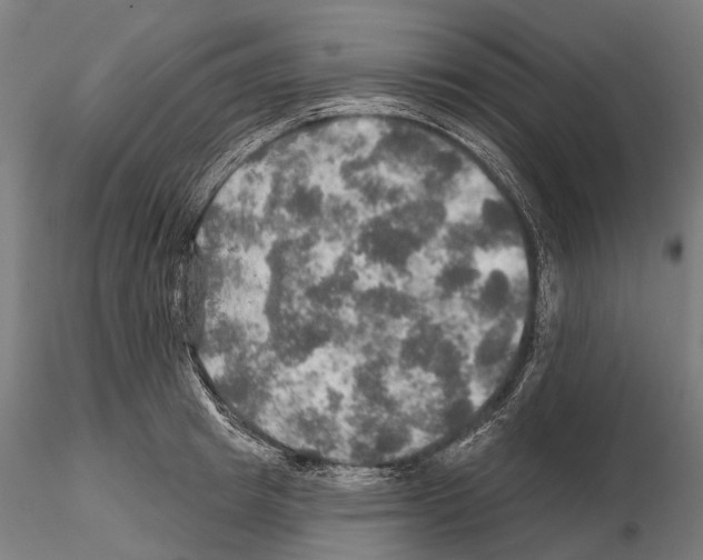 X0000114650849200912011111