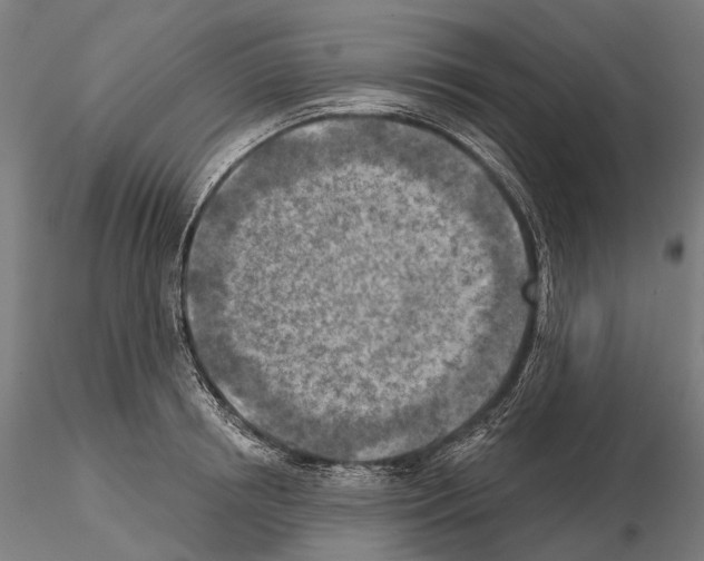 X0000114650850200912011111