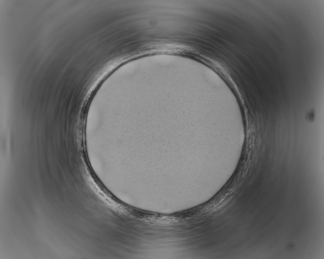 X0000114650851200912011111