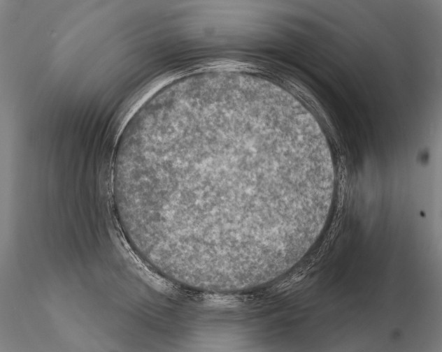 X0000114650852200912011111