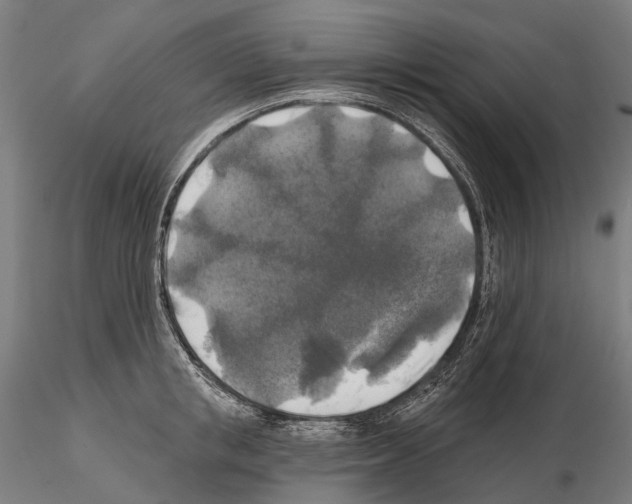 X0000114650853200912011111