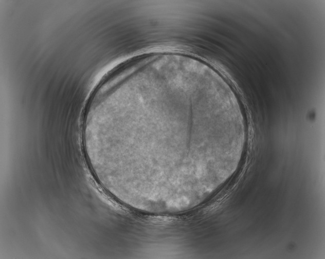 X0000114650854200912011111