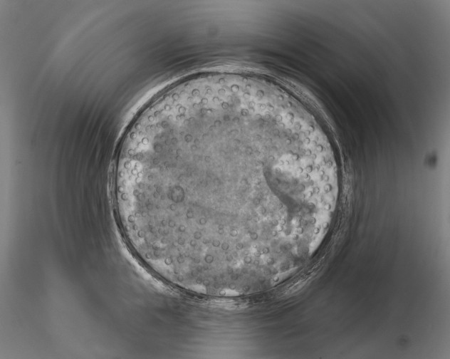 X0000114650855200912011111