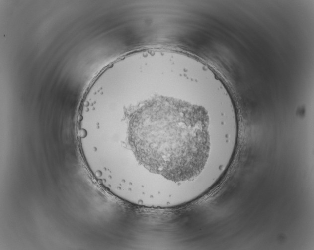 X0000114650856200912011111