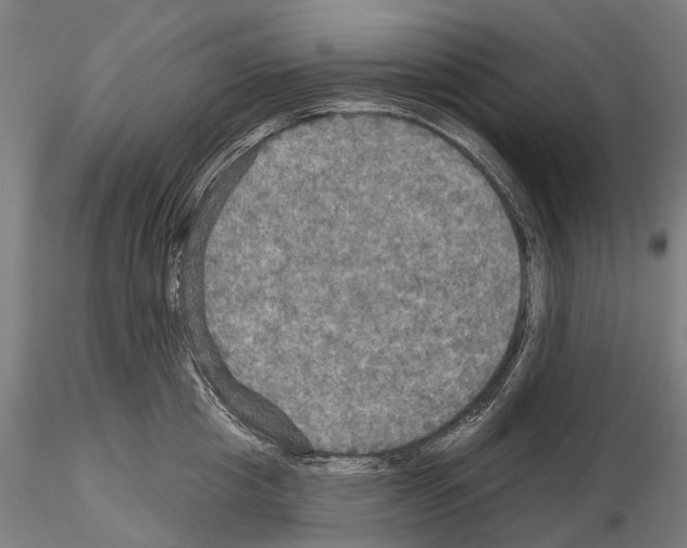 X0000114650857200912011111