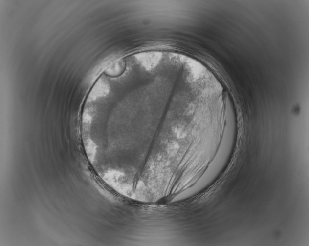 X0000114650858200912011111