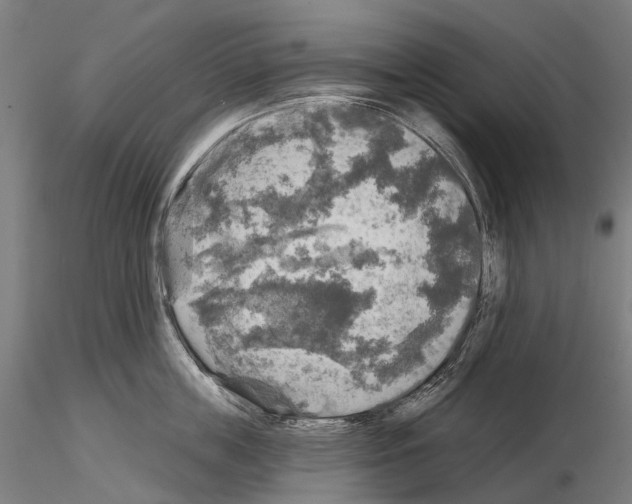 X0000114650859200912011111